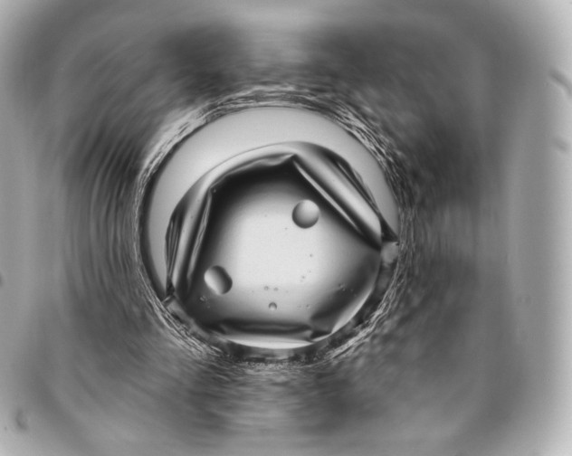 X0000094940293200712201121