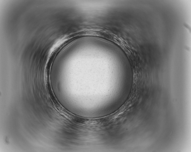 X0000094940294200712201121