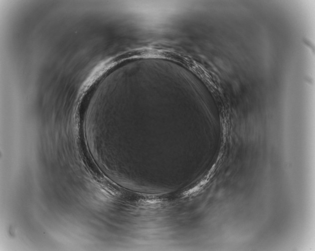 X0000094940295200712201121