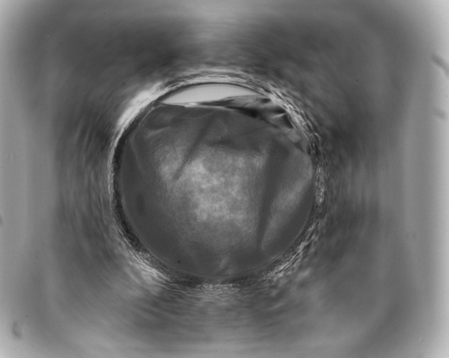 X0000094940296200712201121