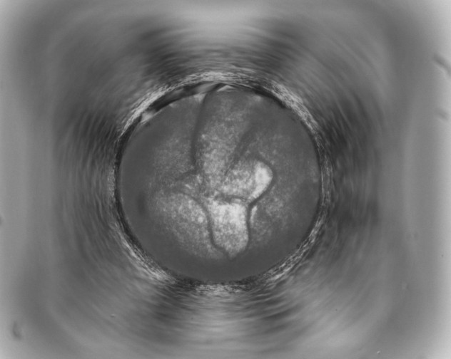 X0000094940297200712201121