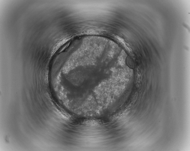 X0000094940299200712201121