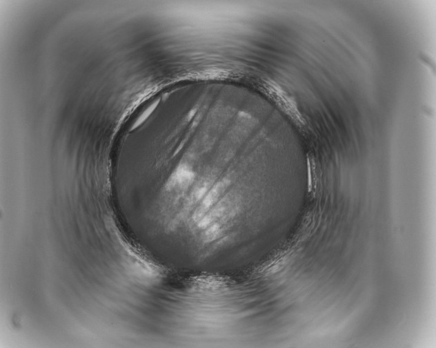 X0000094940300200712201121