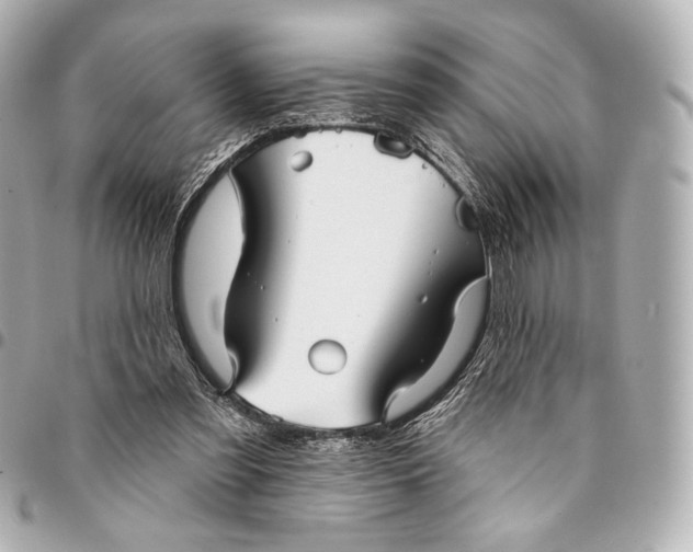 X0000094940301200712201121