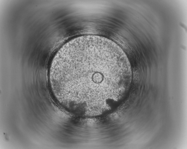 X0000094940302200712201121