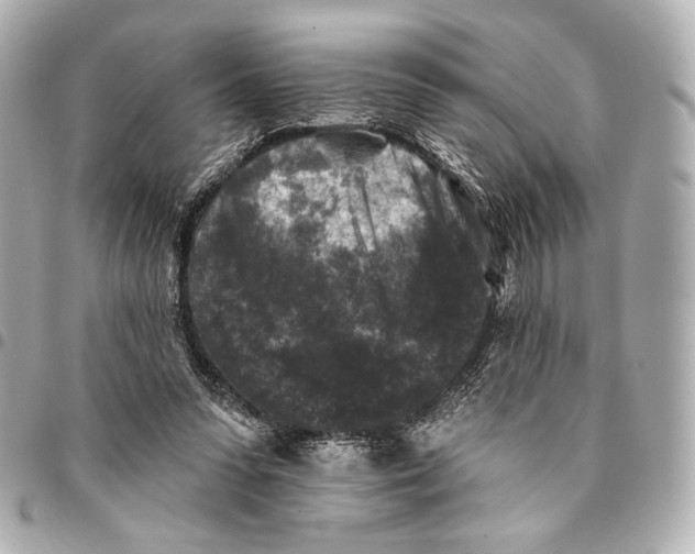 X0000094940303200712201121