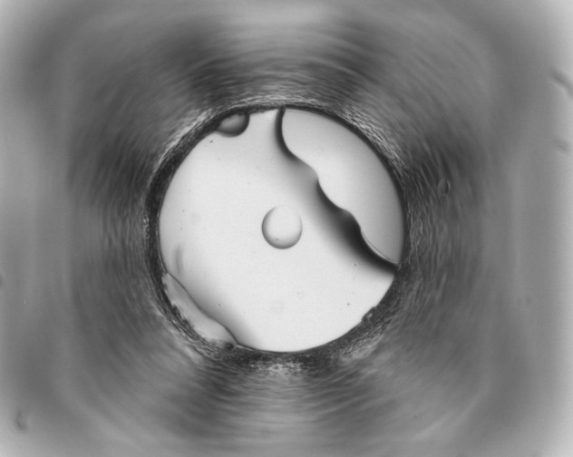 X0000094940304200712201121