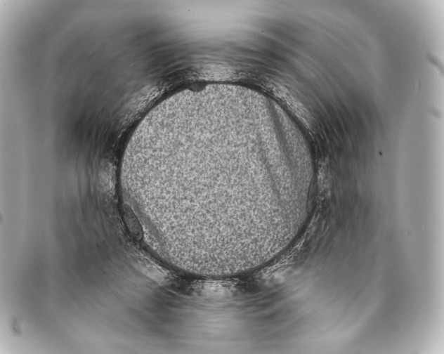 X0000094940305200712201121