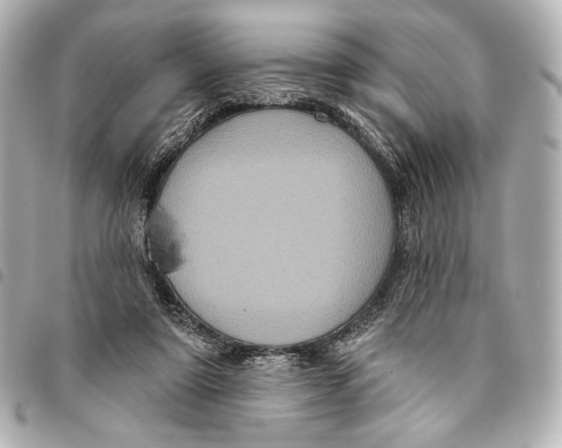 X0000094940307200712201121