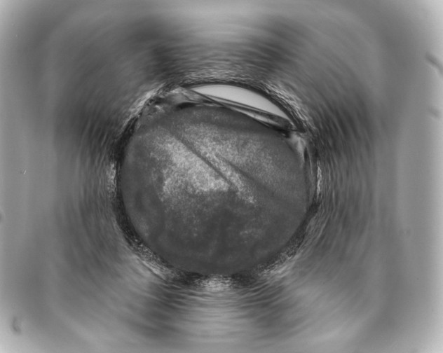 X0000094940308200712201121