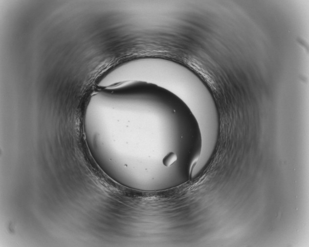 X0000094940309200712201121