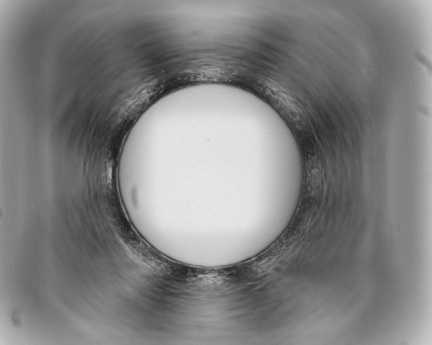 X0000094940310200712201121