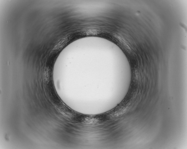 X0000094940311200712201121