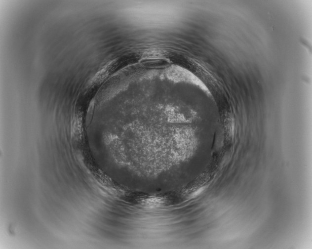 X0000094940312200712201120