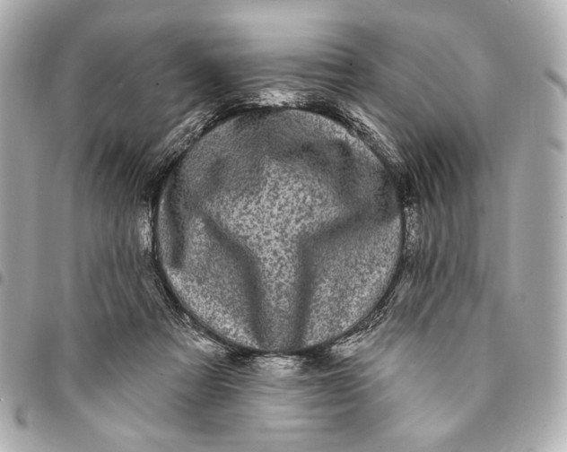 X0000094940313200712201120