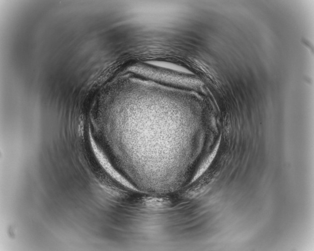 X0000094940315200712201120