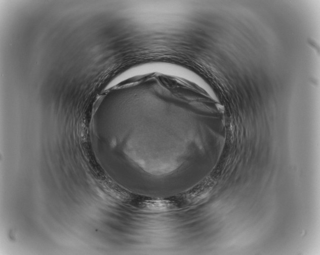 X0000094940316200712201120