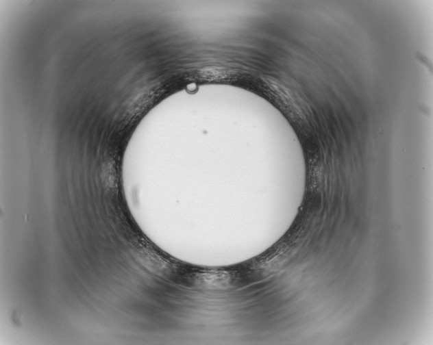 X0000094940317200712201120