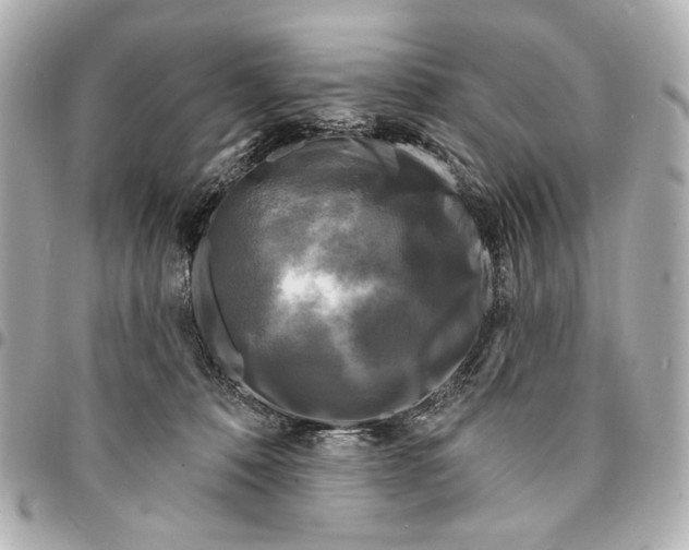 X0000094940320200712201120