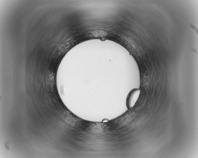 X0000094940321200712201120