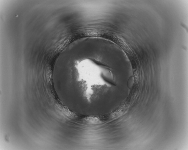 X0000094940322200712201120