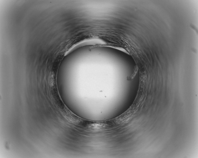 X0000094940323200712201120