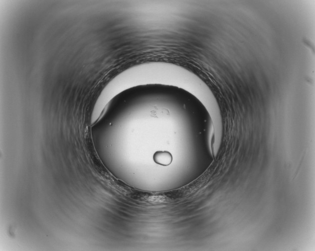 X0000094940324200712201120