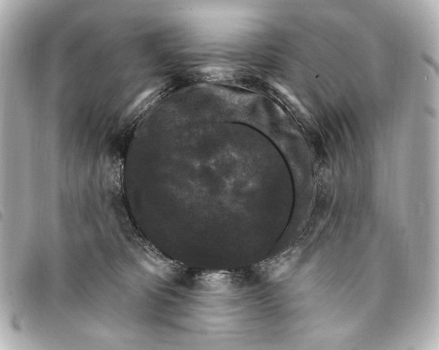 X0000094940325200712201120