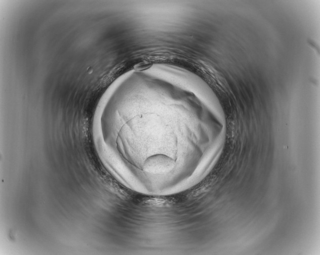 X0000094940326200712201120