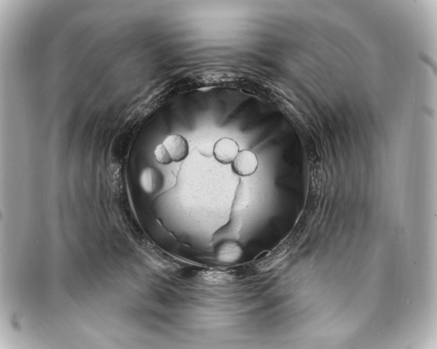 X0000094940327200712201120