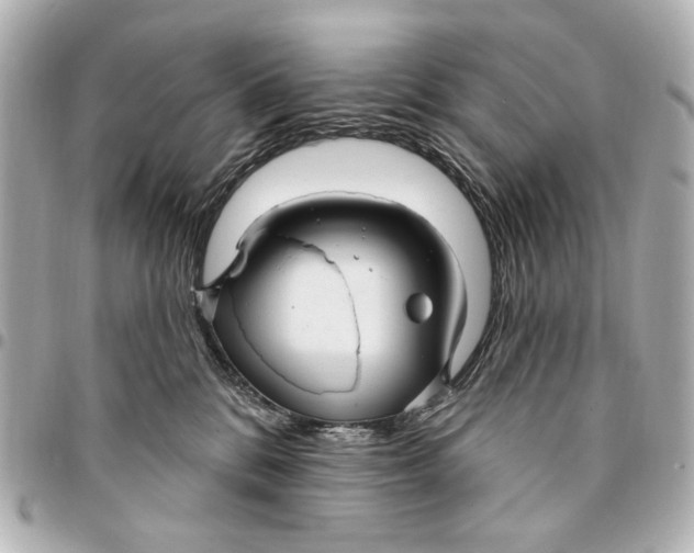 X0000094940328200712201120