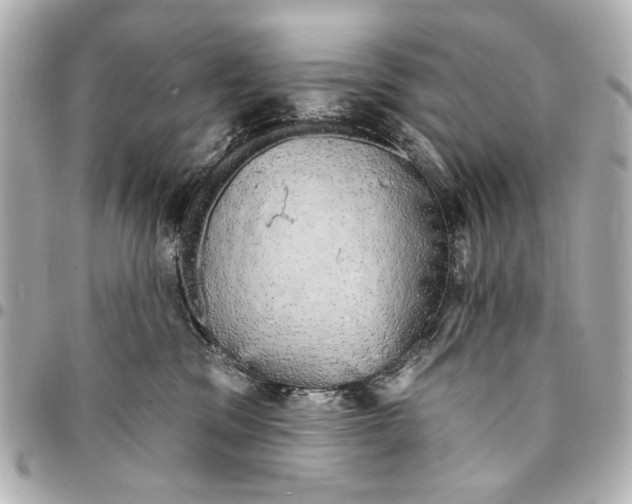 X0000094940329200712201120