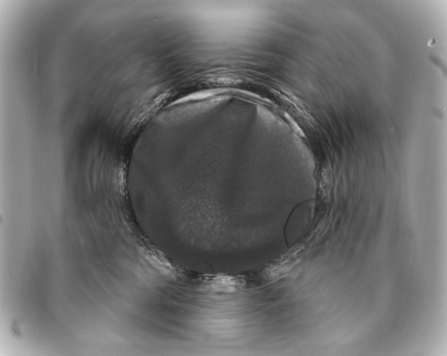 X0000094940330200712201120