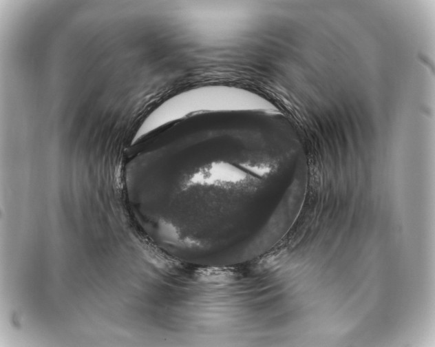 X0000094940331200712201120