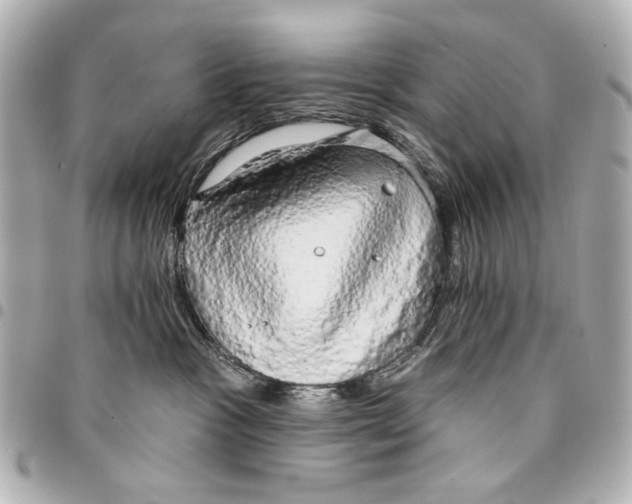 X0000094940333200712201120