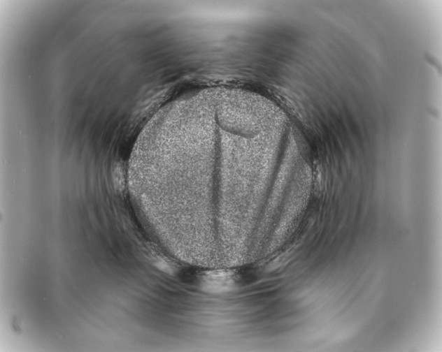 X0000094940335200712201120