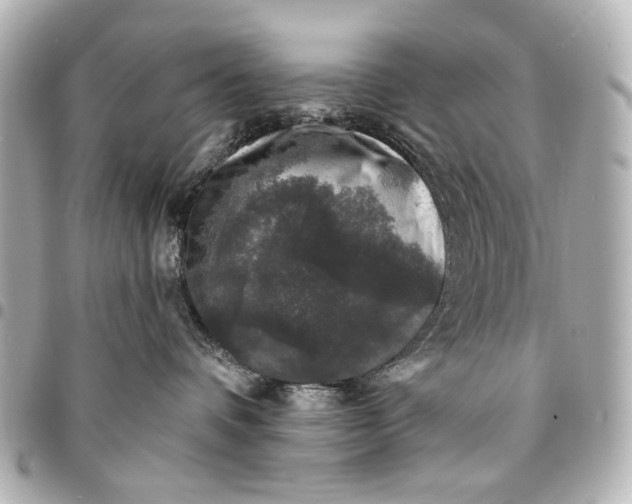 X0000094940336200712201120