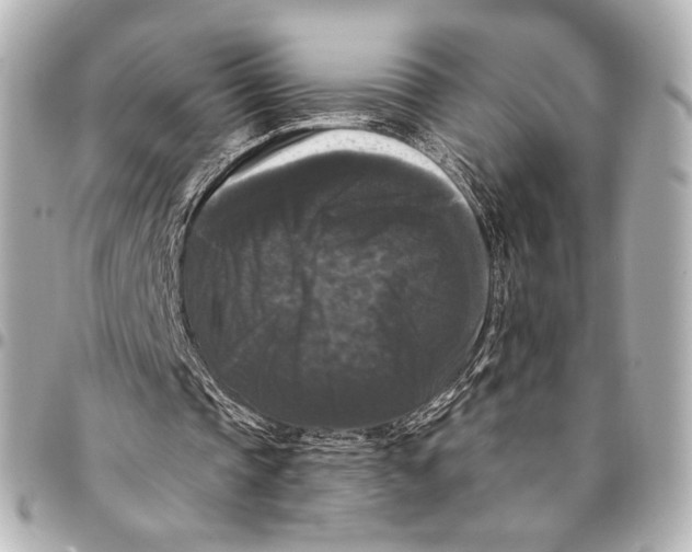 X0000094940337200712201119