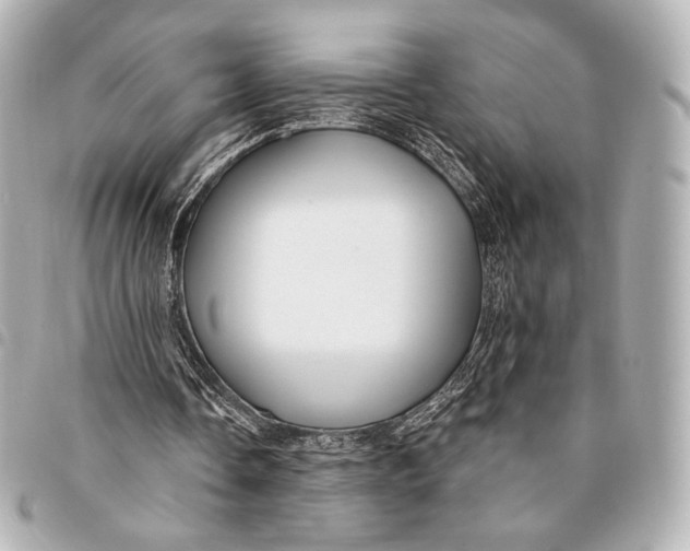 X0000094940338200712201119