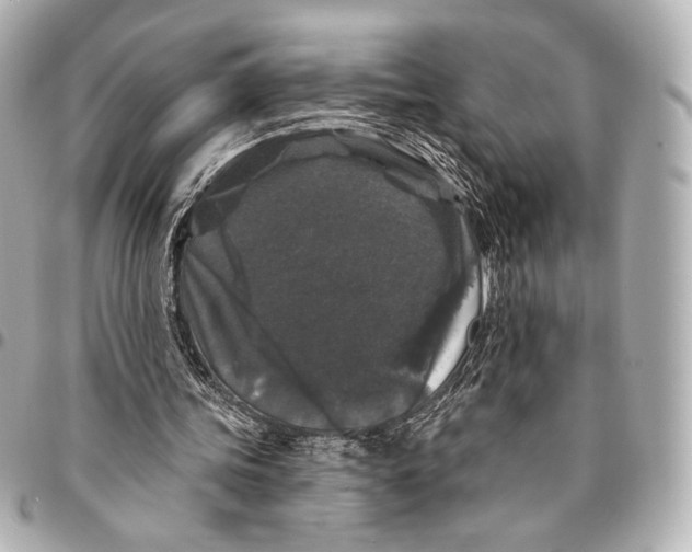 X0000094940339200712201119