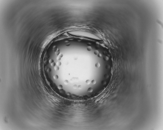 X0000094940340200712201119