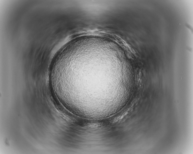 X0000094940344200712201119