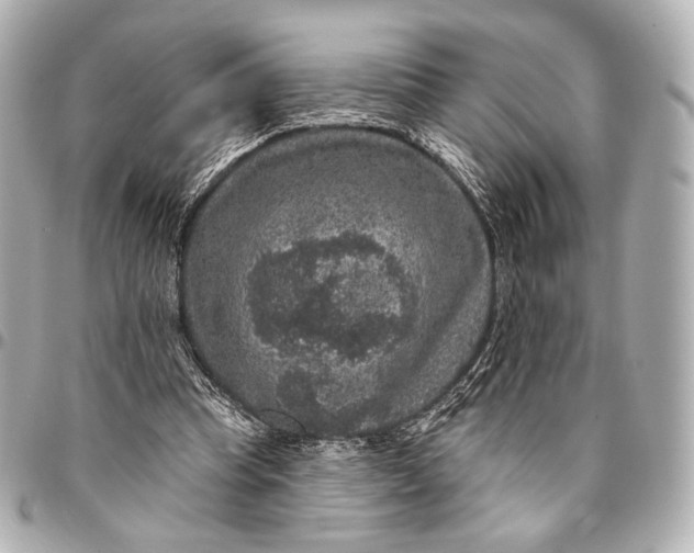 X0000094940345200712201119