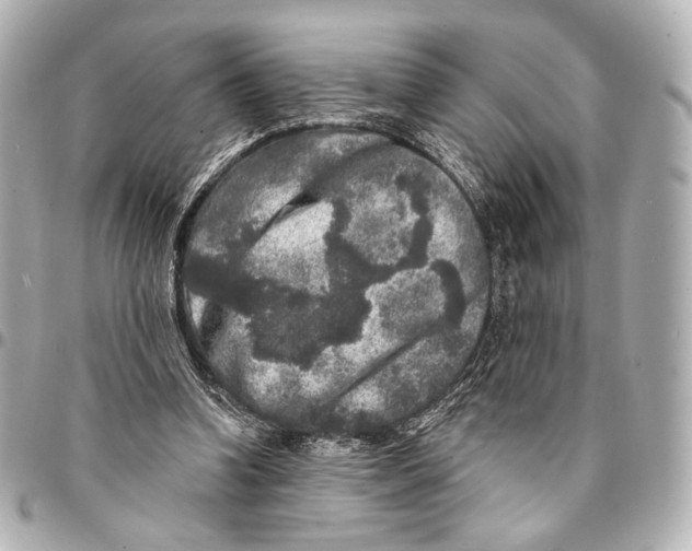 X0000094940346200712201119