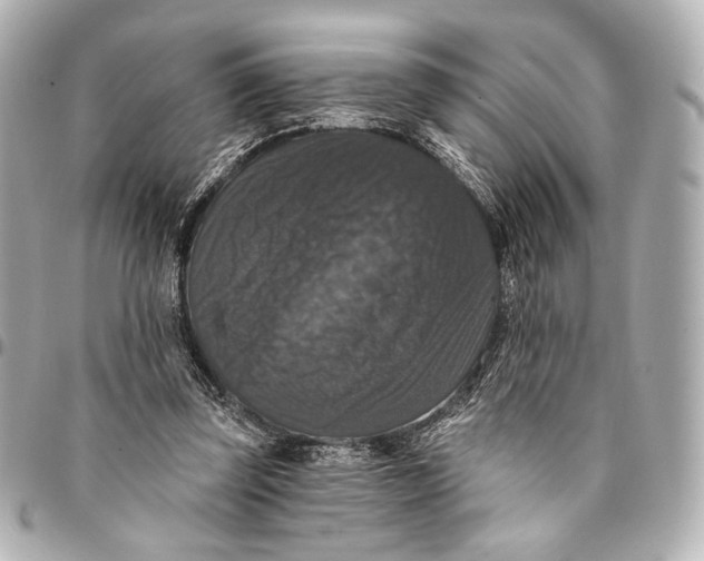 X0000094940347200712201120