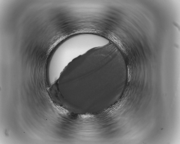 X0000094940348200712201120