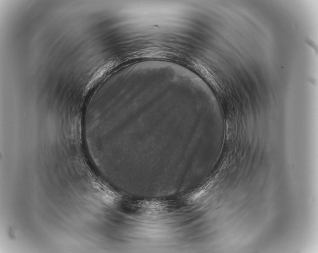 X0000094940349200712201120