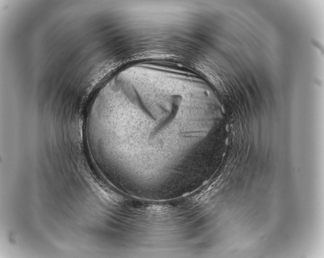 X0000094940350200712201120