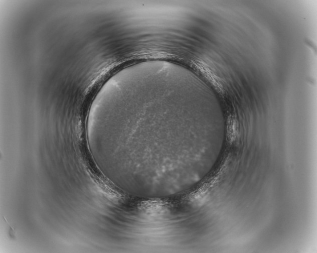 X0000094940351200712201120