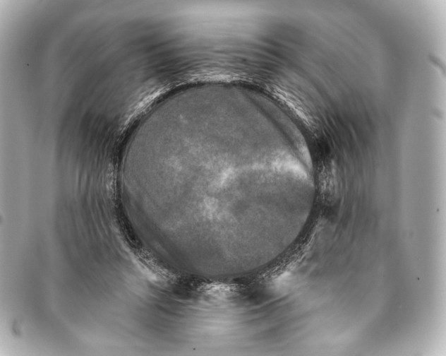 X0000094940352200712201120